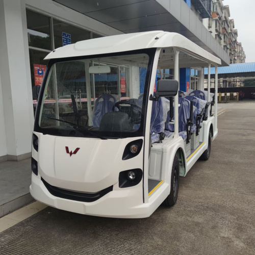 In addition to the price, we also need some other things when buying Electric Customized Vehicles