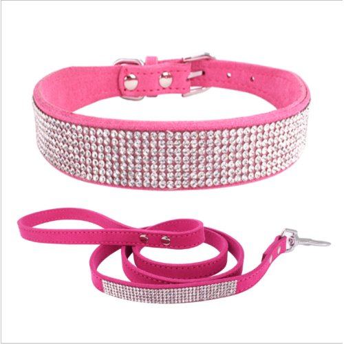 pet collar with diamond