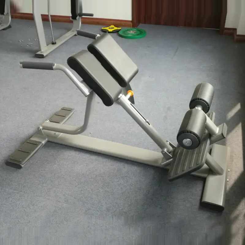 Back Extension Bench