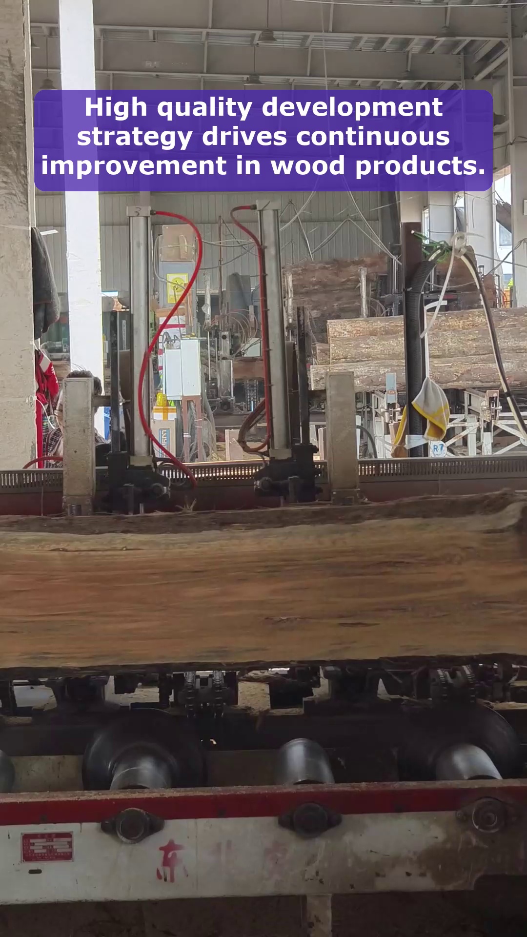 Video 6