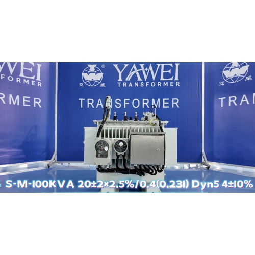 100kva 20kv Distribuční transformátor