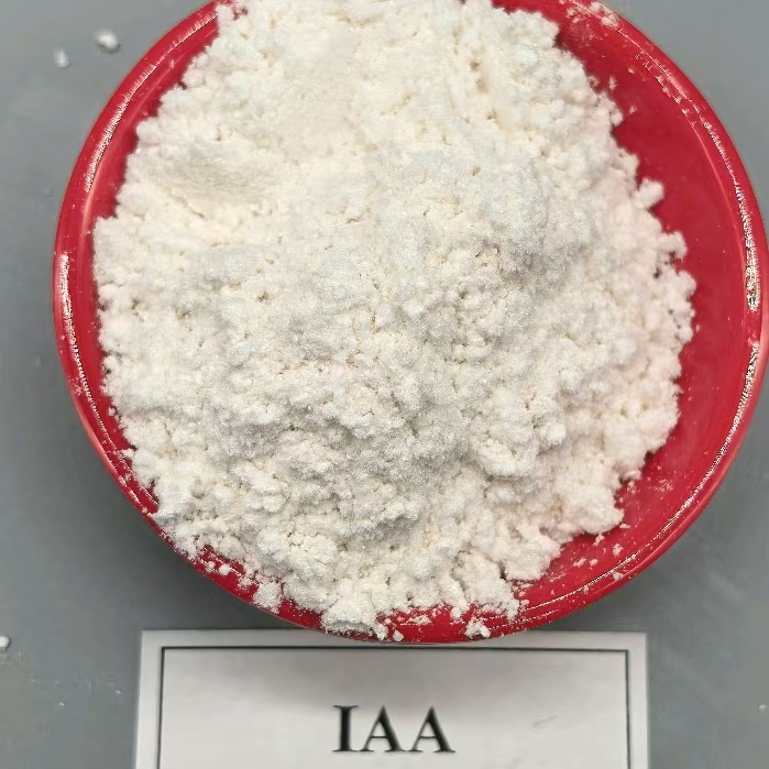 IAA 98% กรดอินโดล-3-อะซิติก CAS 87-51-4