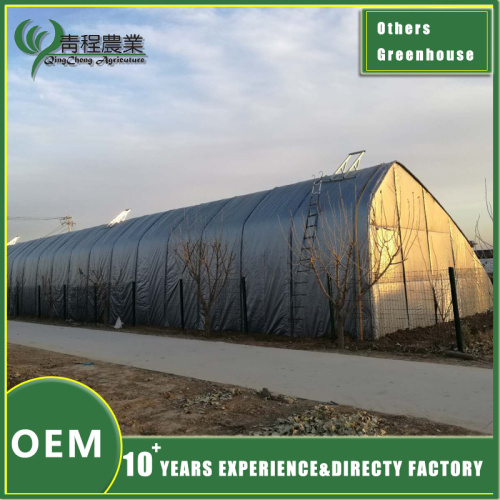 Выпраменьвальная цяпліца мае патрэбу ў добрай светопроницаемости