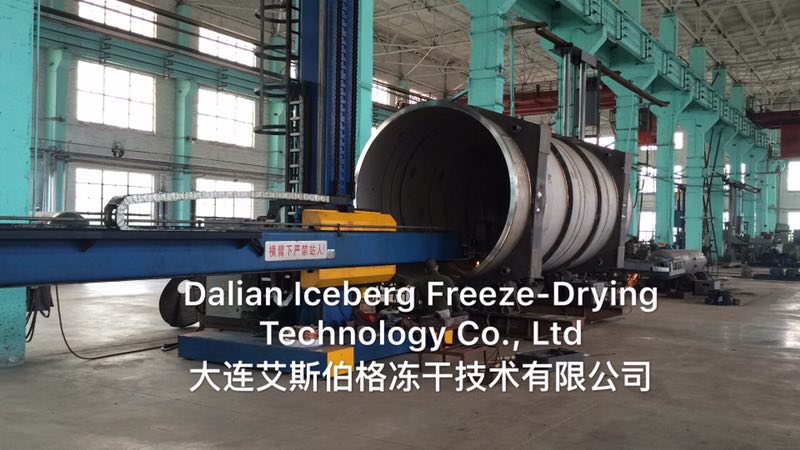 Dalian Iceberg Freeze-dry Technology Co.,Ltd