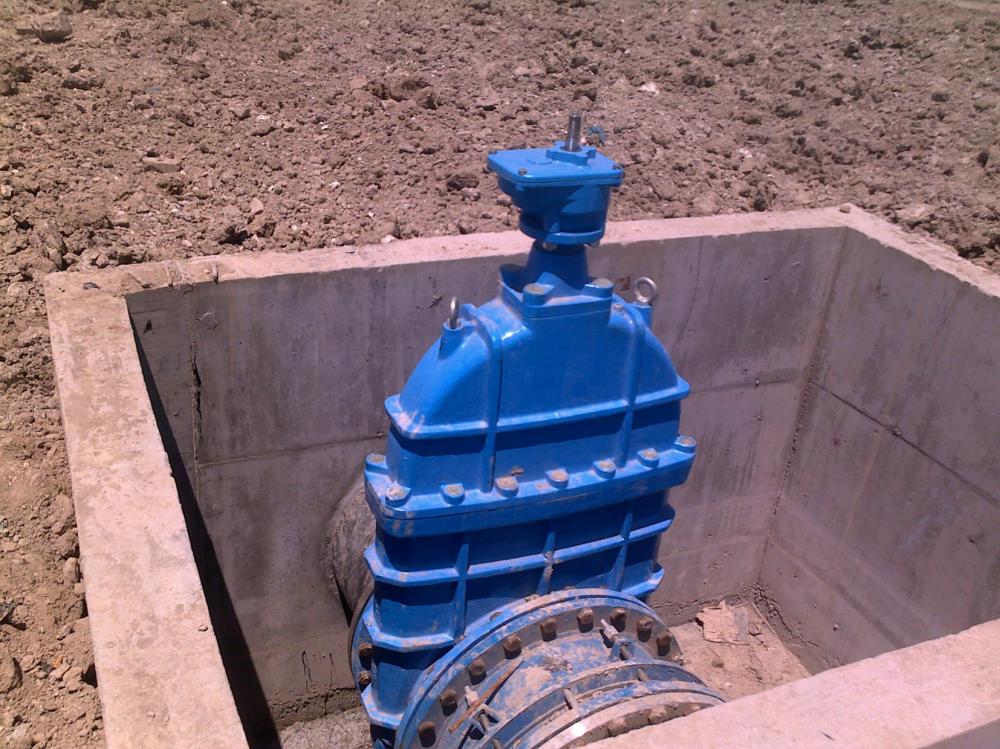 gate valve