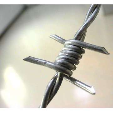 China Top 10 Electro Galvanized Barbed Wire Potential Enterprises