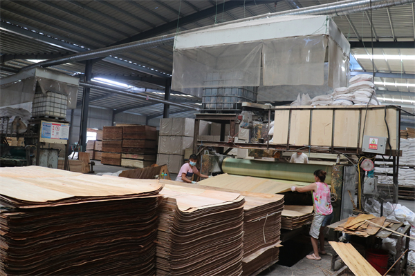 Linyi Fengzhize Trading Co., Ltd.