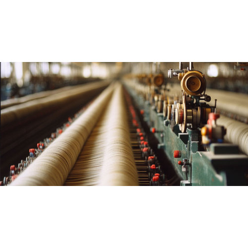 ग्रीन इनोवेशन एंड ग्लोबल स्ट्रेटेजी ने 2025 में एशिया के रासायनिक फाइबर उद्योग को फिर से बनाया