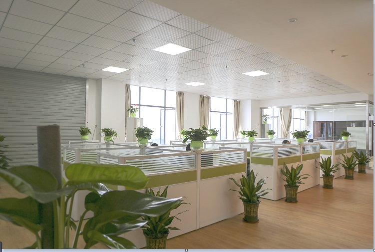 Office  photo