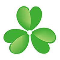 Henan Dianyan New EnergyTechnology Co. Ltd  