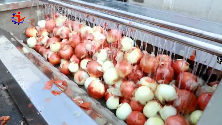 onion drying machine