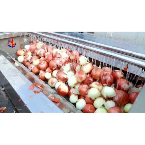 onion drying machine