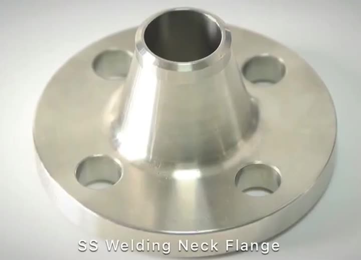 SS Flange