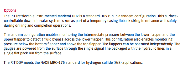 Downhole Deployment Valve4