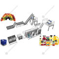 Factory Supply Mango Processing Line for Tropical Fruit Juice and Pulp Production1