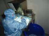 Shijiazhuang Huajia Medicinal Capsule Co., Ltd.