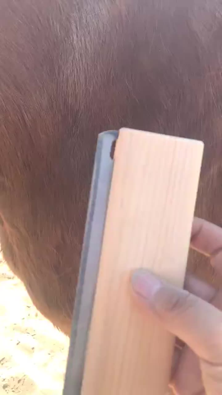 Deshedding Comb