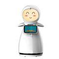 CSJBOT: Programmable Intelligent Mobile Robot for Education and Reception1