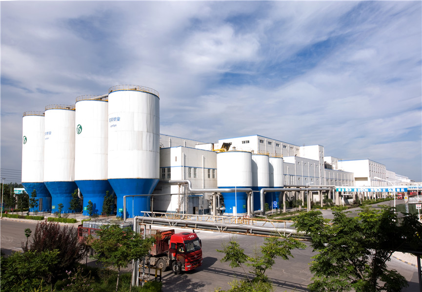 Puyang Longfeng Paper Co.,Ltd.