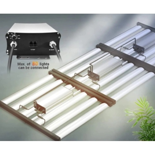 Application cases of LED grow lights in commercial planting