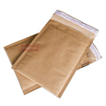 Biodegradable Compostable Honeycomb Padded Kraft Paper Envelopes1