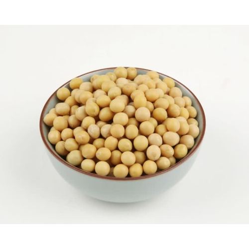 grain soybean