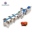 Automatic Vegetable and Fruit Processing Production Line1