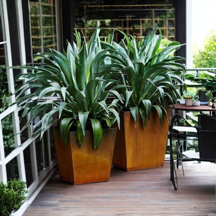 square planters outdoor