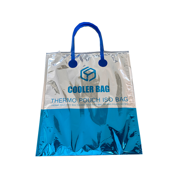 Cooler Bag