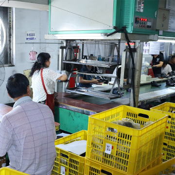 introduction of the product