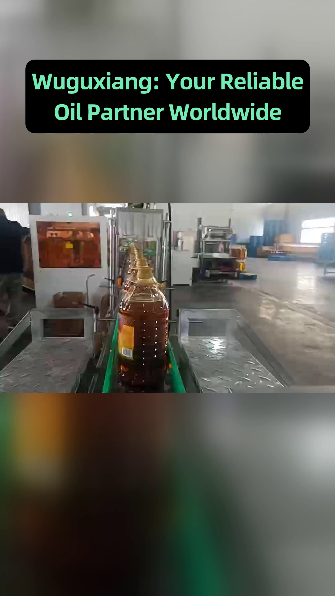 المراجع الميدانية العملية لأداء زيت الطعام ضمن مواقع تطبيق مشاريع التموين والمشتريات المؤسسية العالمية