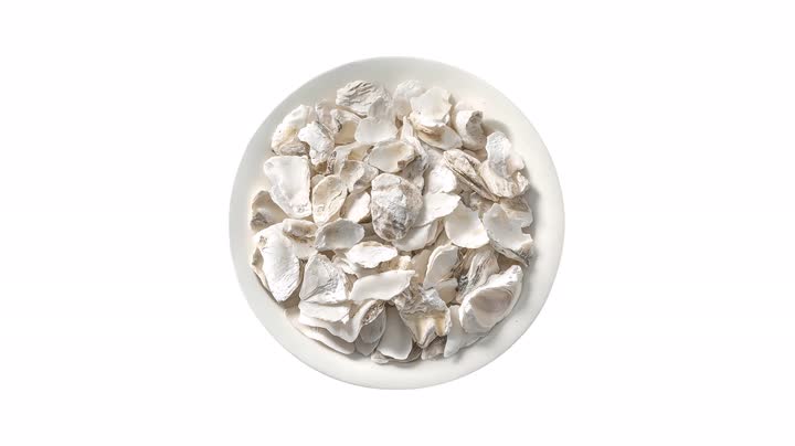 Oyster Shell