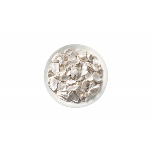 Oyster Shell