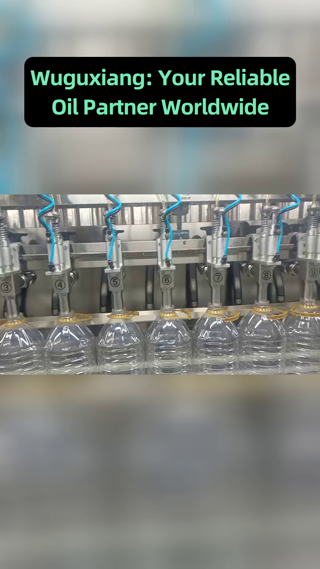 مجموعة كاملة من حزم المستندات الفنية التي تدعم التحقق من صحة العملاء في الخارج وأعمال تنسيق مشروع شراء الأغذية