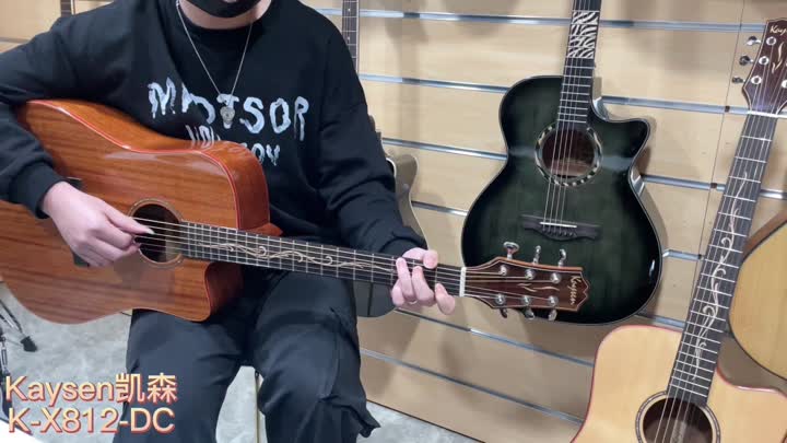 X812SS acoustic guitar