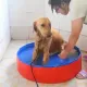 Piscina per cani da compagnia pieghevole pieghevole.