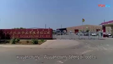 Company video