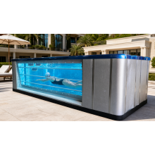 New 2026 Endless Swim Spa Released with Innovative Design & Advanced Manufacturing Technology