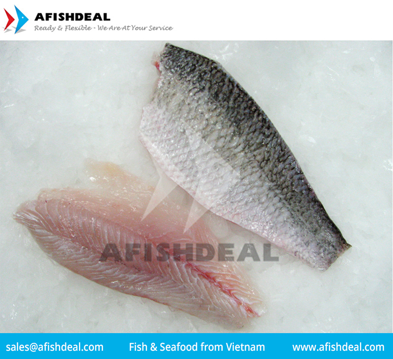 DONG PHUONG FISH & SEAFOOD COMPANY LIMITED