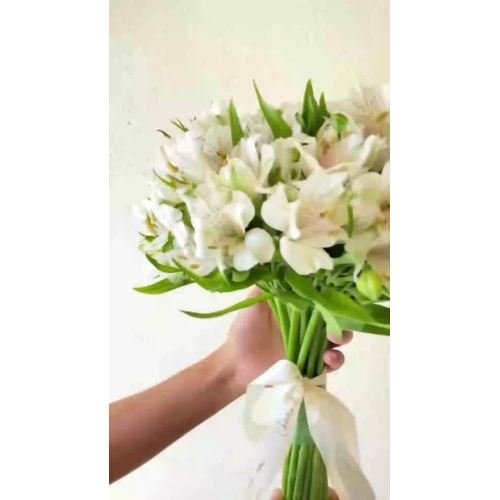 বিবাহ ও অনুষ্ঠান সাজানোর জন্য ফ্রেশ কাট হোয়াইট অ্যালস্ট্রোমেরিয়া ফুল প্রিমিয়াম সাদা পেরুভিয়ান লিলি শাখা