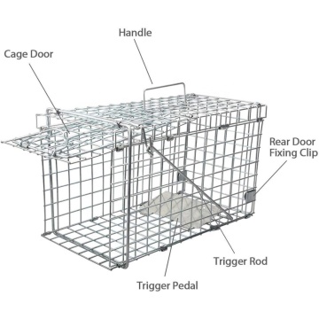 Ten Chinese Collapsible Squirrel Trap Cage Suppliers Popular in European and American Countries