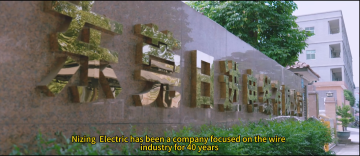 About Company Video