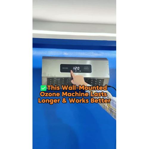 Generator Ozon yang Dipasang di Dinding Feili — Solusi Disinfeksi Ruang Profesional