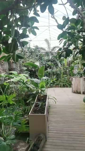 Functional Design Kitchenroom Greenhouse