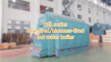 DZL hot water boiler