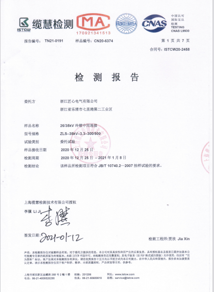 Inspection Report