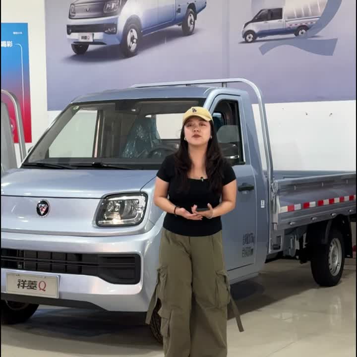 Мікрагрузавік Foton Sapling V1