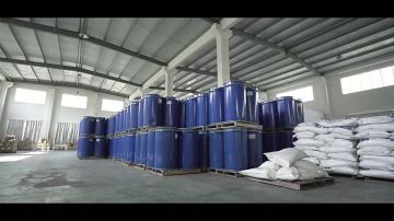 Company video