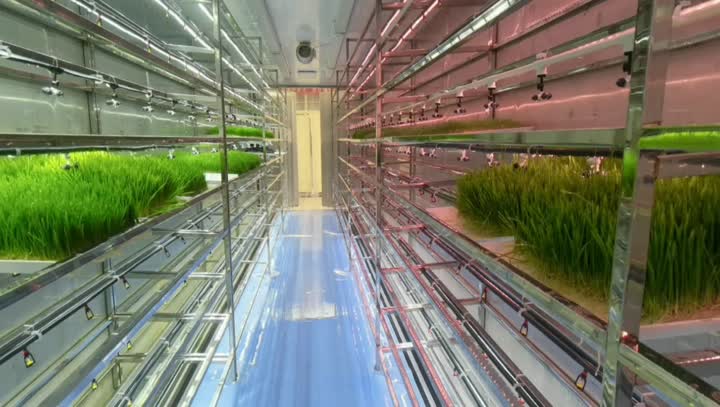 Внутреннее видео кормового контейнера 2