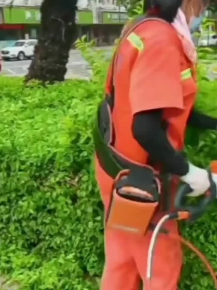 Hedge Trimmer